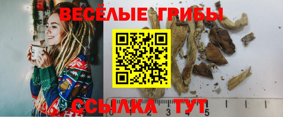 Псилоцибиновые грибы прущие грибы Лосино-Петровский